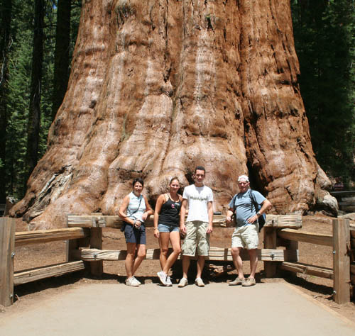 Wij vallen in het niet bij de enorme General Sherman Tree